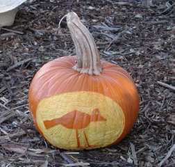 Bird, Nipomo Pumpkin Patch, carving idea